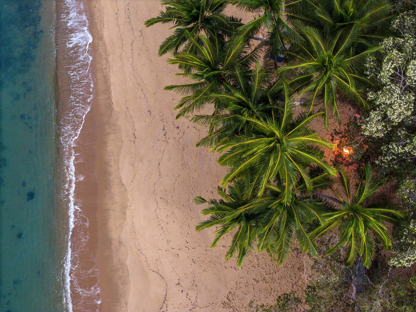Looking straight down on the beach, the shallows and coconut palms