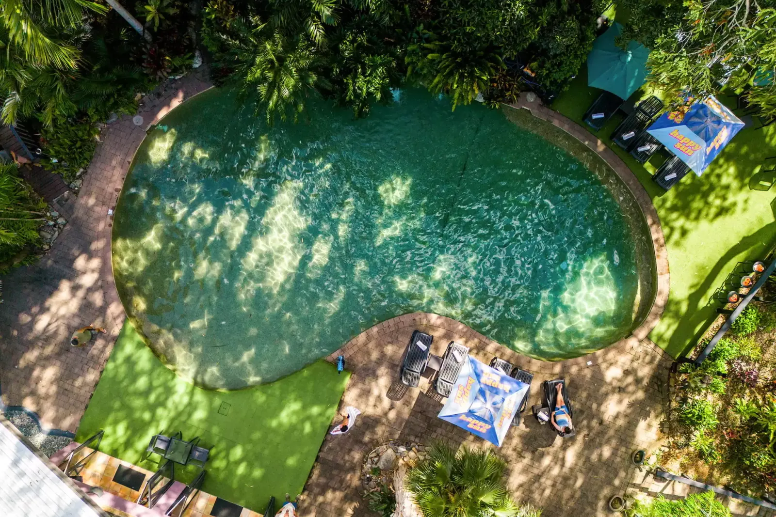 Aerial view of the oceanfront pool surrounded by trees