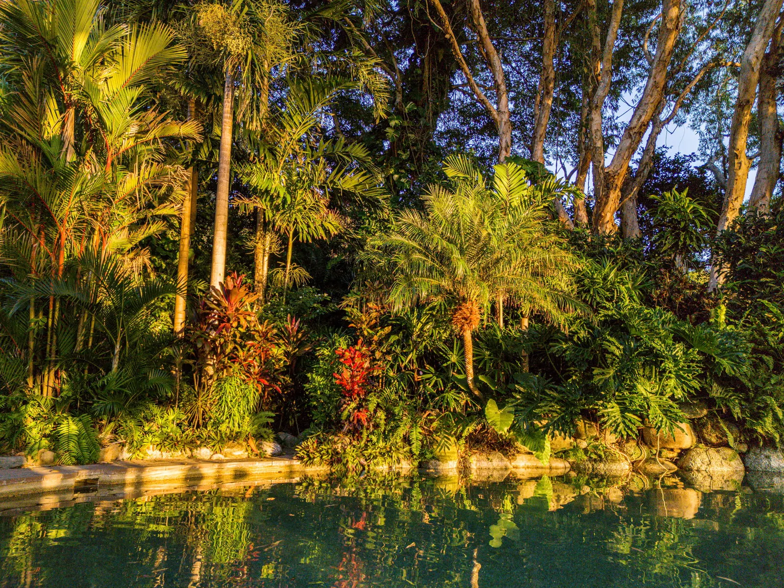 Rainforest creek pool