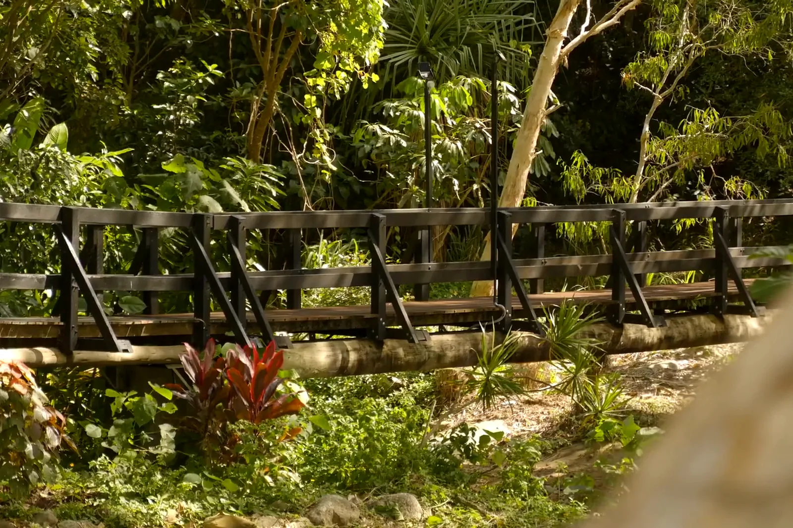 Timber bridge crossing the rainforest creek, captured from the resort film