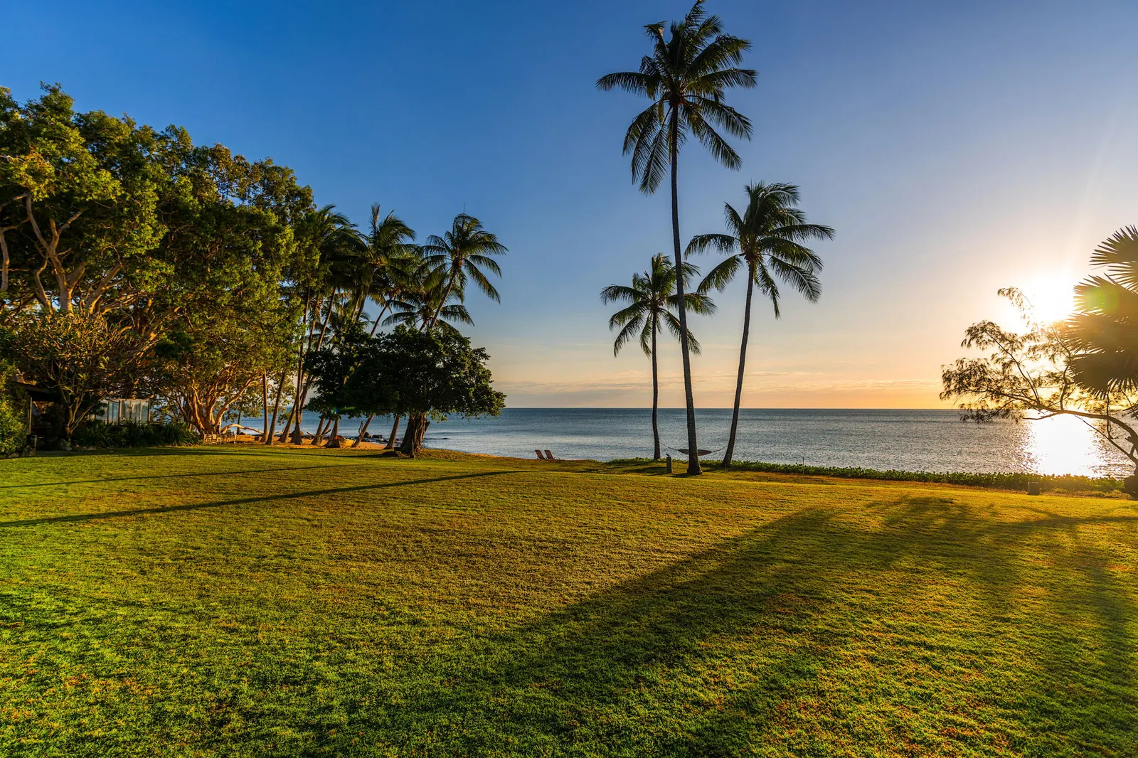 Beachfront lawn and palms in late light