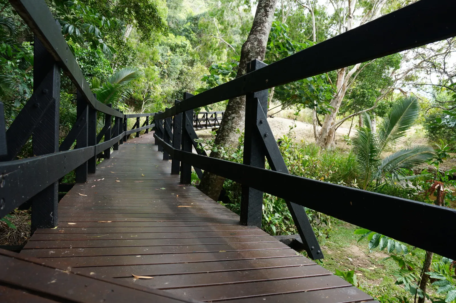 Timber bridge over the creek to the beach