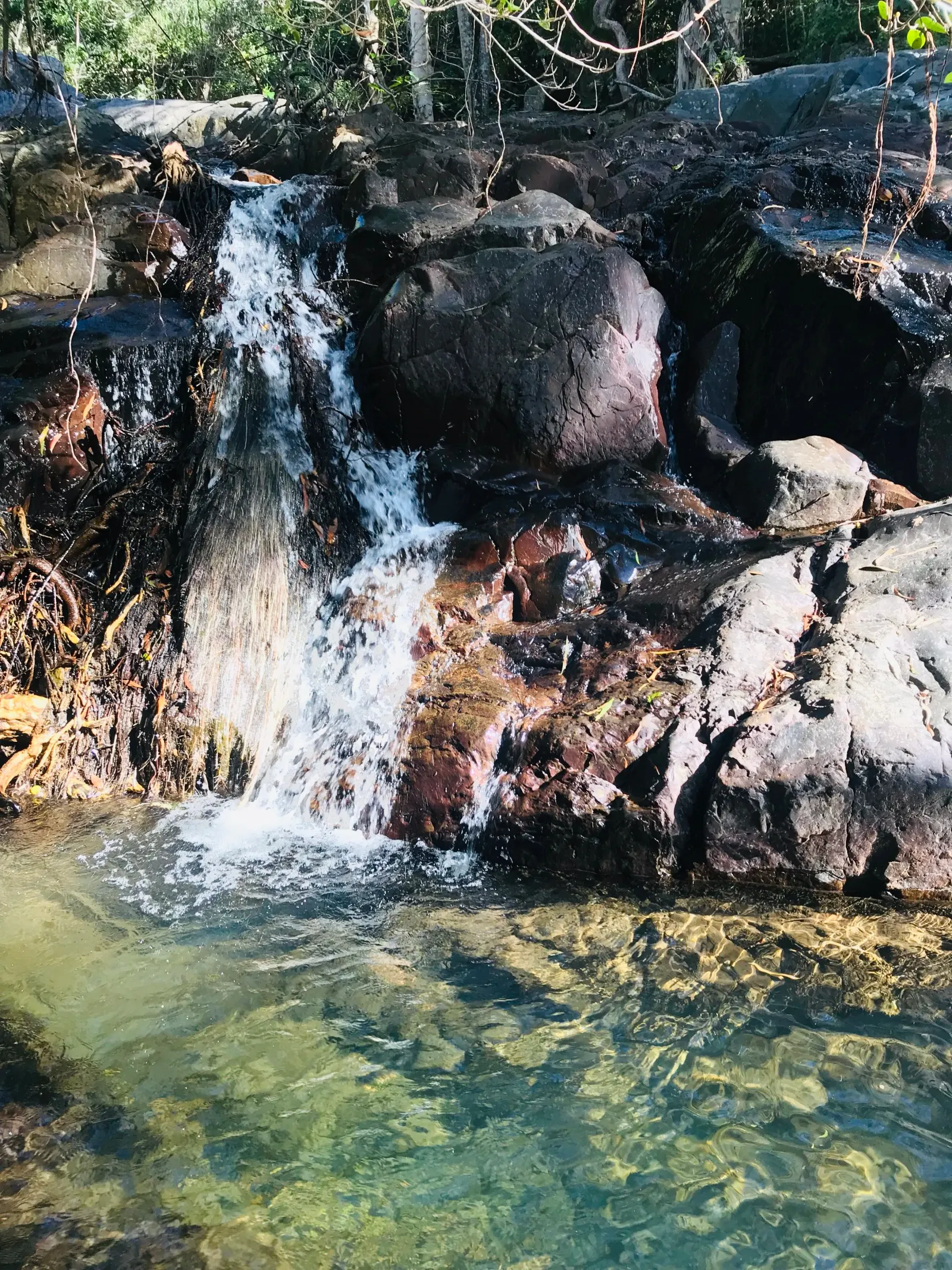 Waterfall in the rainforest creek