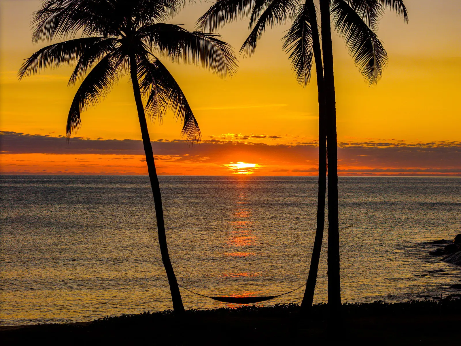 Sunrise over the Coral Sea seen through palms, with a hammock