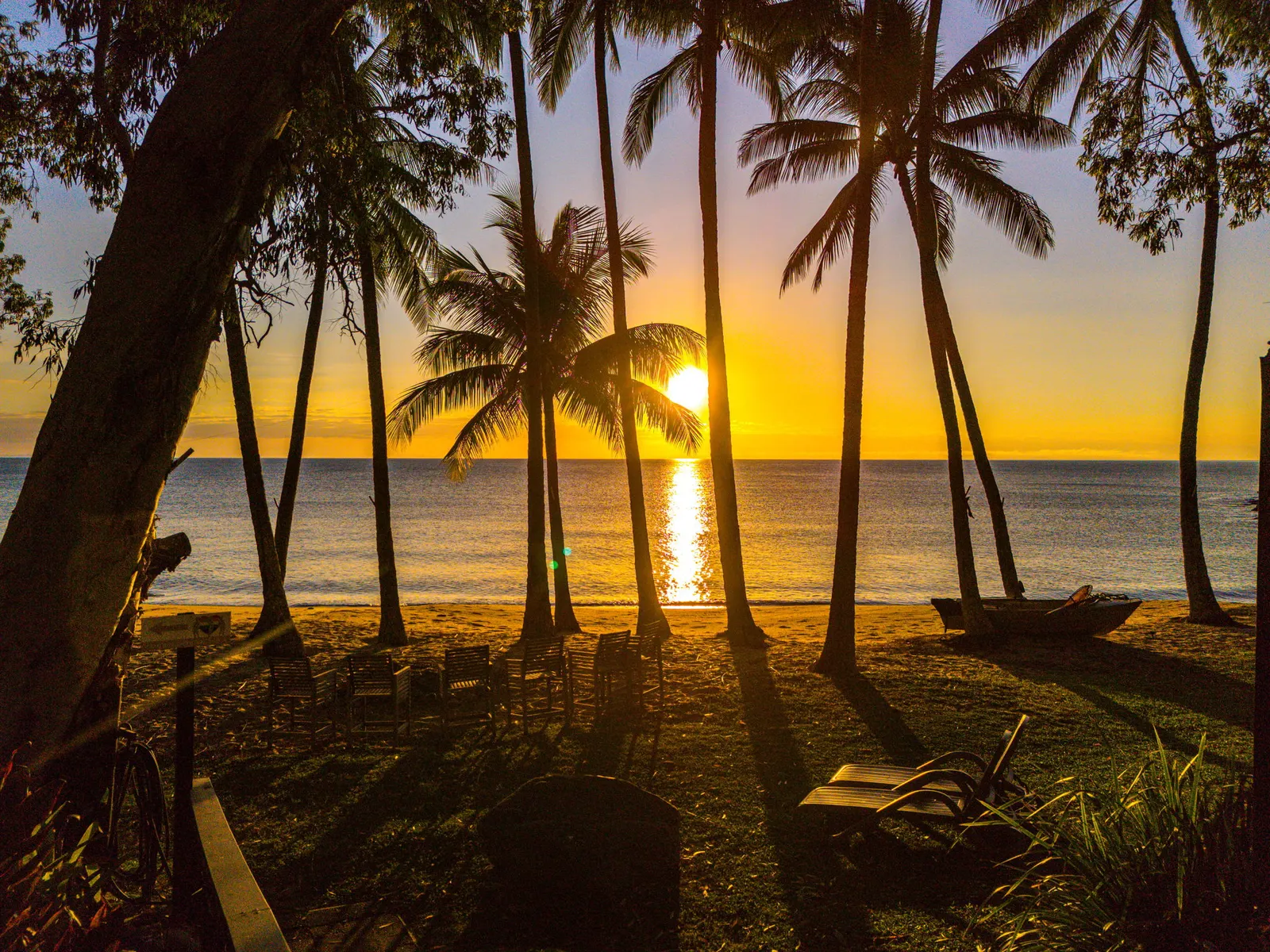 Sunrise through the beachfront palms
